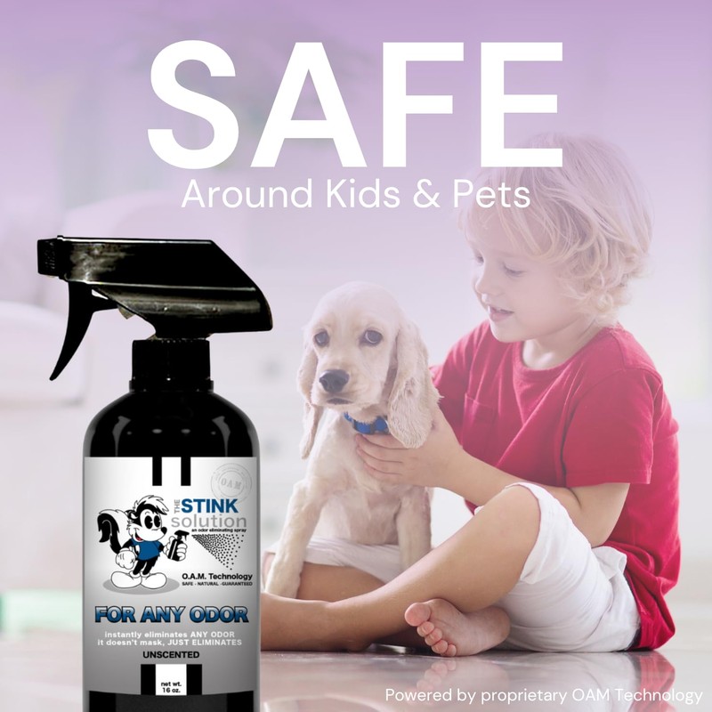 The Stink Solution Odor Eliminator for Shoes, Sneakers, Cleats, &