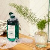 The Body Shop Tea Tree Clear & Balancing Shampoo, 13.5