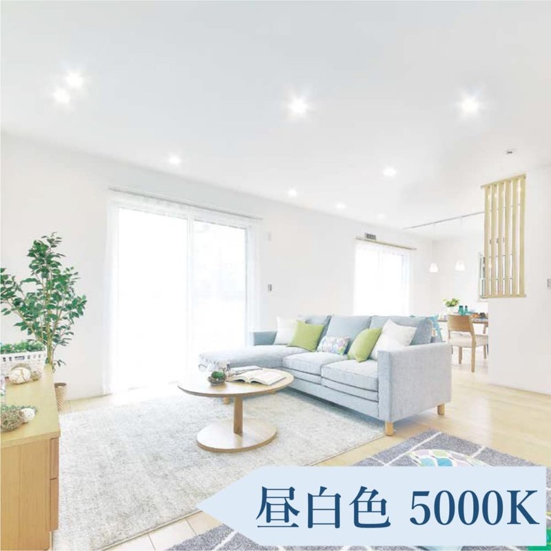 Iris Ohyama LSB150-0650NCAW-V3 Downlight, Incandescent Bulb Equivalent, Daylight White, 450