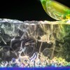 Epoxy Resin Silicone Molds Set Sea Mountain Diorama Fish Tank