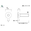 Adpack 【Made in Japan】 Stainless Steel Hex Socket Button Head