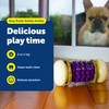 PetSafe Busy Buddy Nobbly Nubbly Treat Holding Dog Toy -