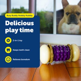 PetSafe Busy Buddy Nobbly Nubbly Treat Holding Dog Toy - Boredom Relief for Strong Chewers - Durable Nylon Build - Dishwasher Safe Design - Includes Treat Rings - Engaging Pet Puzzle - Purple - Small