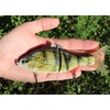 Fishing lure swimbait hard predator pike bigbait swimfish joint (perch)