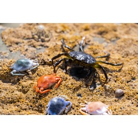 Berkley Gulp! Peeler Crab Natural Peeler, 2in