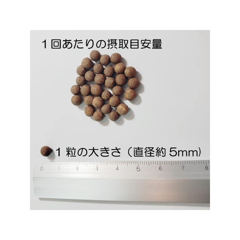 健康プラス 秋ウコン丸 粒タイプ 韓国 サプリメント 漢方 クルクミン みかんの皮配合 ポリフェノール 1800粒入り