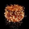 Dreamworth Remote Control 165ft 500 LED Warm White Copper Wire