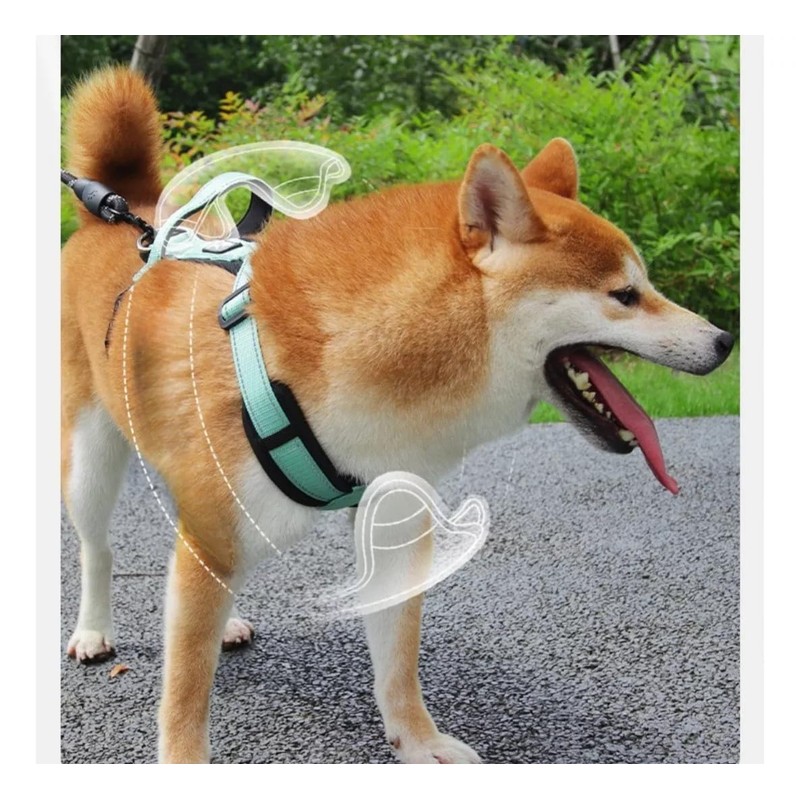 UNA MASCOTA Arnés para Perros Reflectante y Transpirable - Correa