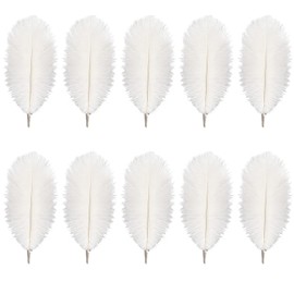 Rgontar 8-10 inches White Ostrich Feather,Large Natural Ostrich,Plumas para Decoraciones for Home Decor Party Wedding Decorations, Pack of 10 (White)