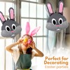 Zebra Balloons Easter Balloons Colour Grey Easter Bunny Balloons Foil