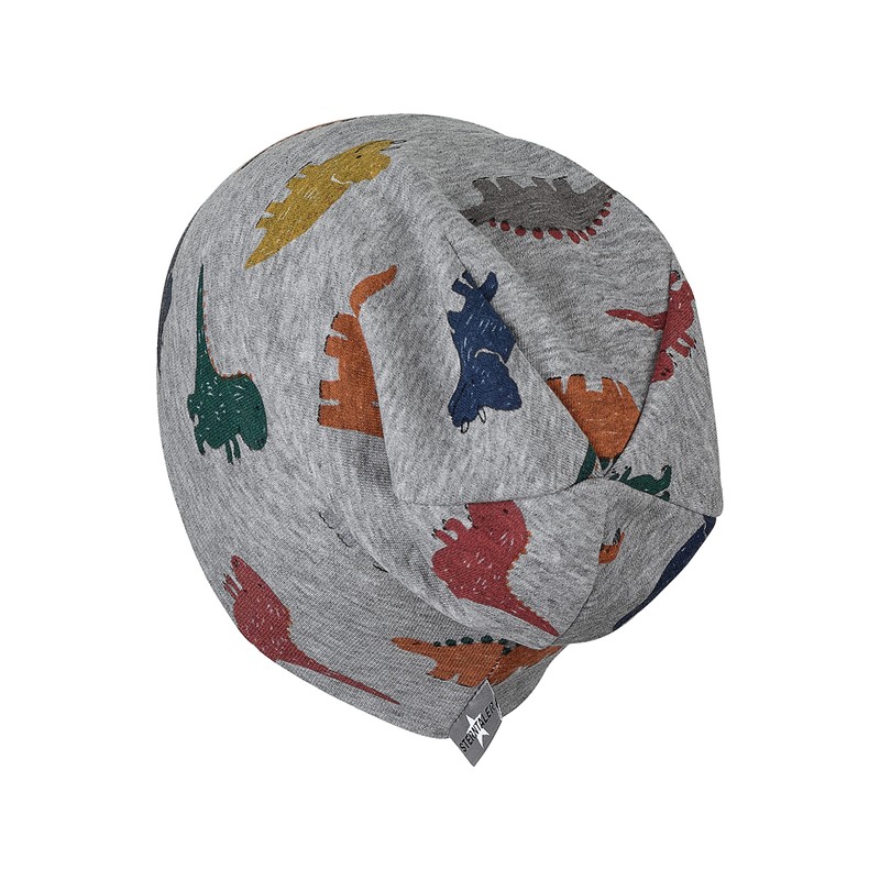 Sterntaler Baby Boys Hat Baby Beanie Hat Dinos, lightgrey