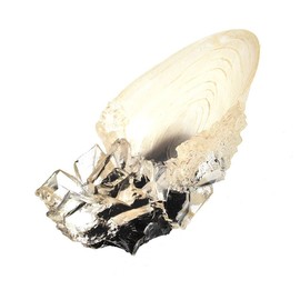 The Noble Collection France Noble Collection Der Kristallbecher aus der Höhle, NN1009, Weiß