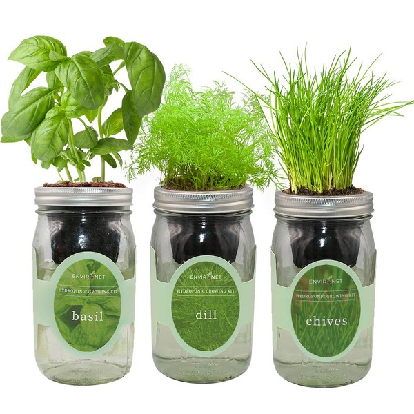 Environet Hydroponic Herb Growing Kit Set, Self-Watering Mason Jar Herb