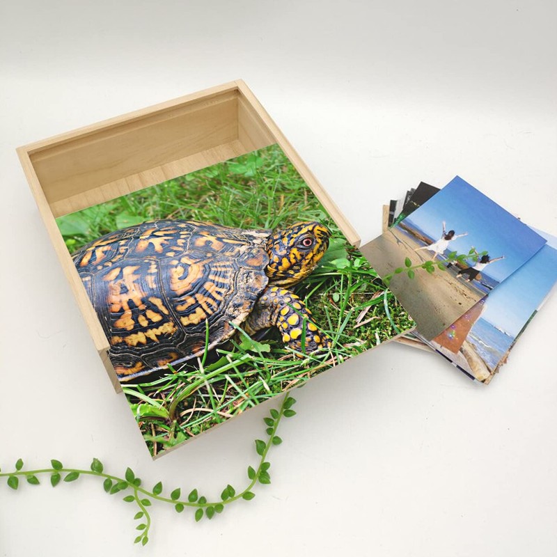 Fabulous Wooden Box - Turtle of Earth Black and Yellow