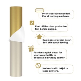 TECKWRAP 001 Vinyl Glossy Permanent Adhesive Vinyl for Craft Decal Projects 12" x 10ft, Matte Gold