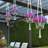 Sorbus Macrame Plant Hanger [4 Pack] Indoor Outdoor Hanging Plant