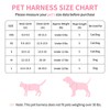 voopet Small Dog Harness and Leash Set Pet Puppy Cat