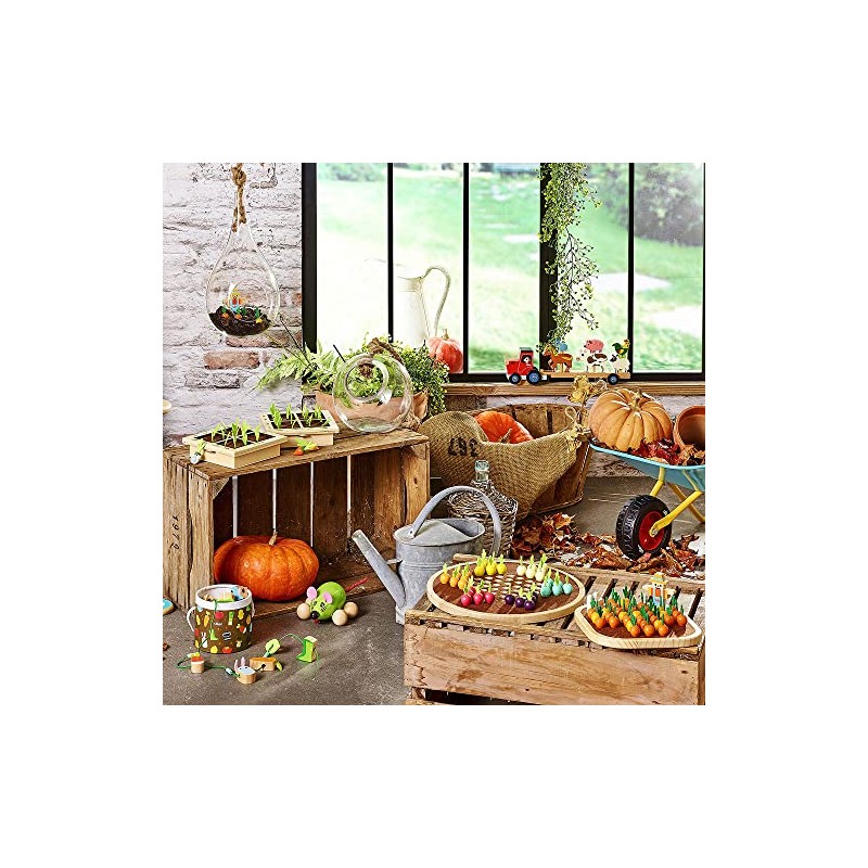 Le Solitaire du Potager - Harvest Day