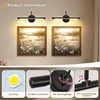 JOOSENLUX LED Picture Light Hardwired Matte Black Modern Picture Lights