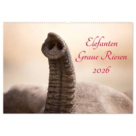 Elephant Grey Giants (Wall Calendar 2026 DIN A2 Landscape), CALVENDO Monthly Calendar: Elephants - Grey Giants from Far Africa (CALVENDO Animals)