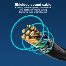 Lavalier Microphone Sports Camera for Insta360 ONE RS, Microphone Type C Connector Clip On Lapel Mic, Noise Reduction Omnidirectional Pickup Mic.