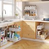 Biboraya 2 Pack Under Sink Organizer With Smooth Cylindrical Rail,2-Tier