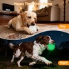 petizer 6 Pack 3.5’’ Glow in The Dark Dog Balls