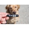 TEMPUP Dog Paw Saver - Keep Your Dog Safe and