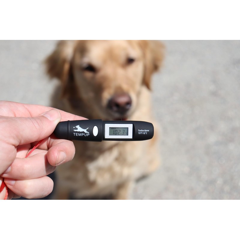 TEMPUP Dog Paw Saver - Keep Your Dog Safe and