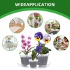 AONYIYI Clear Orchid Pots,5 Packs 6 Inch Transparent Pots for