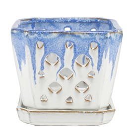 W&W Ceramic Orchid Pot with Drainage Holes and Saucer for Repotting (Blue and White)
