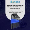 Dapetz ® 10PCs Imperial Hex Allen Key Expert Set Allan