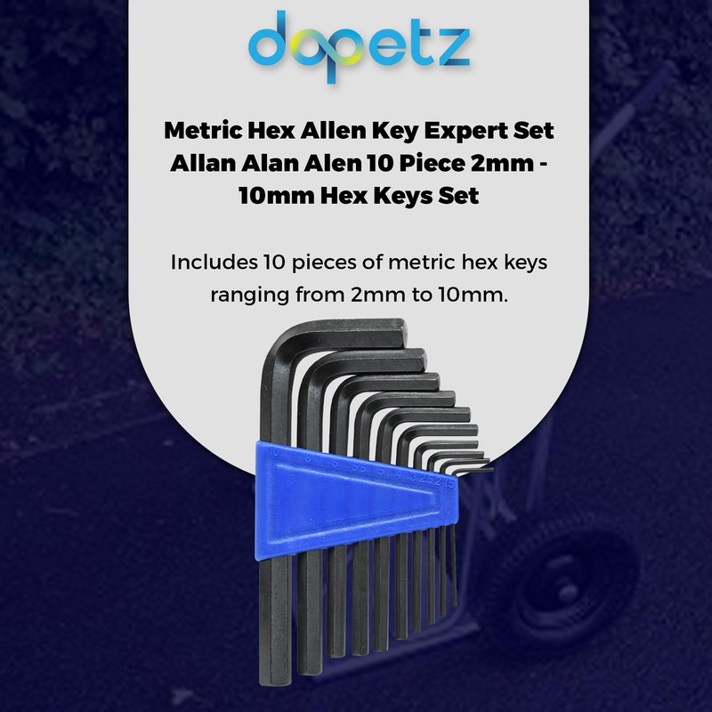 Dapetz ® 10PCs Imperial Hex Allen Key Expert Set Allan