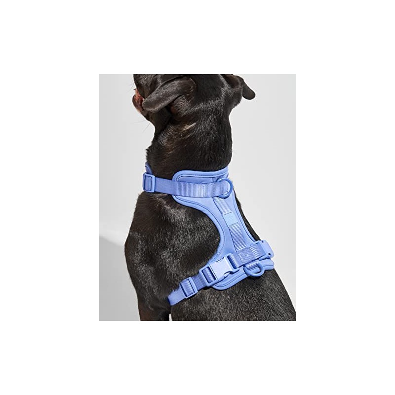 Wild One Harness 2.0 - Extra Small - Moonstone
