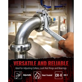 Reywoo Spanner Wrench Set, Adjustable Spanner Wrench Tool for Hydraulic Ram Cylinder, Mechanical Machine, Equipments Vehicles, 11 Pcs Spanner Wrench Tools with Changeable Heads