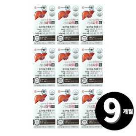 Milk Thistle Silymarin Milk Thistle 9-month supply / 밀크씨슬 실리마린 밀크시슬 총 9개월분