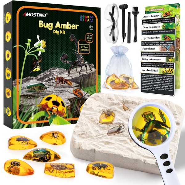 Amber Gemstone Dig Kit，Educational Science Kits for Kids Age 6 7 8 9 10，Crystals and Gemstones Gifts for 6+ year old girls boys