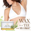 GiGi Tea Tree Creme Wax, 14 Ounce
