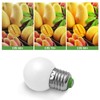 LFLAMPON G14 G45 LED Bulbs 30W Equivalent Globe Bulb 3W