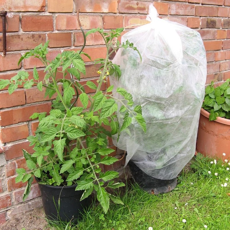 Connex FLOR80250 Tomato Fleece, Multi-Colour