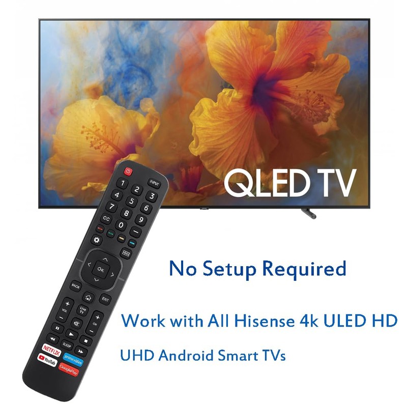 Universal Remote Control Replacement for All Hisense TV Remote, EN2A27