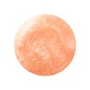 Ruby Kisses Tube Lip Gloss- Moet Champagne