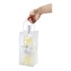Global Wine Bag Ice Cooler Bag 4.5 x 4.5 x