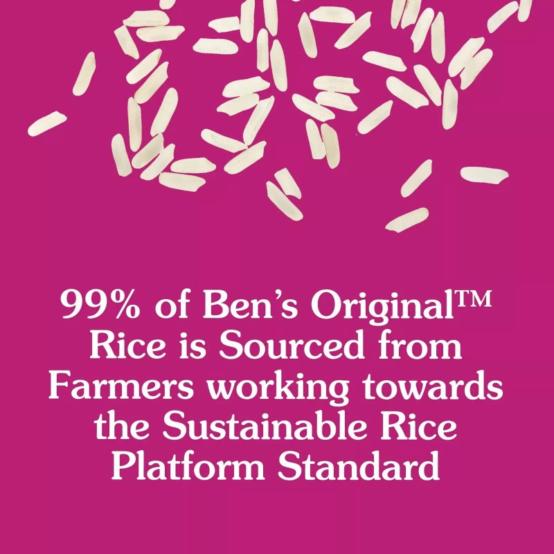 Ben's Original Ready Flavored Rice Pilaf 8.8 Ounce x 5