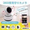 Broadwatch 360° Surveillance Camera, Connects to Smartphones, Call Capable, Night