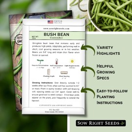 Sow Right Seeds - Contender Bush Green Bean Seeds for Planting - Non-GMO Heirloom Seed Packet - Stringless Variety to Plant an Outdoor Home Vegetable Garden - Abundant Harvest, Great for Kids (1)