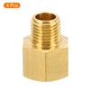QUARKZMAN 1/4 NPT Male x 3/8 NPT Female Brass Pipe