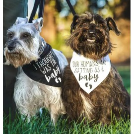 Pregnancy Announcement Dog Bandanas - Our Humans are Getting Us A Baby I Thought I was The Baby Dog Bandana - 2 Pcs Adjustable Triangle Double Layer Reversible Pet Scarves for Small Medium Large Dogs