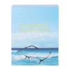 100PCS Glass Resin Lens Clean Wet Wipes Cleaning Disinfection Antibacterial