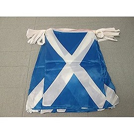AZ FLAG - Scotland Bunting Flag - 40 Ft Garland with 20 Scottish Flags 18'' x 12'' - 100% Polyester String Pennant - 12 meters